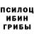 Галлюциногенные грибы Magic Shrooms Shantaram 18