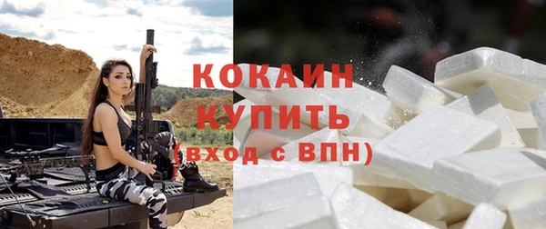 кокс Арсеньев