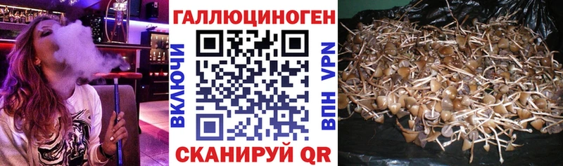 Галлюциногенные грибы мухоморы где продают Владивосток